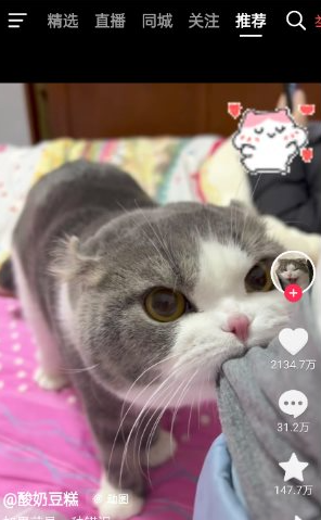 QQ20260606-135008.png