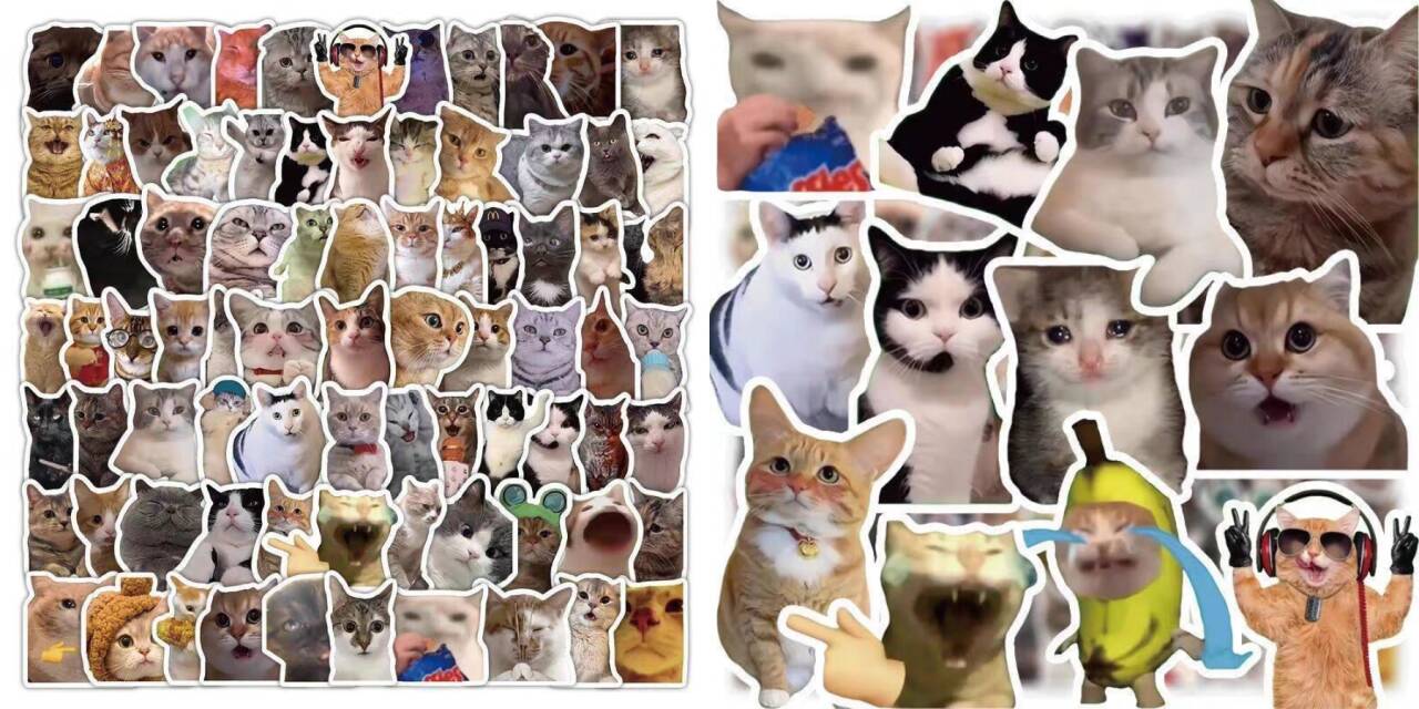 图片[3]-猫meme素材绿幕视频剪辑素材小猫咪跳舞 -大海资源库